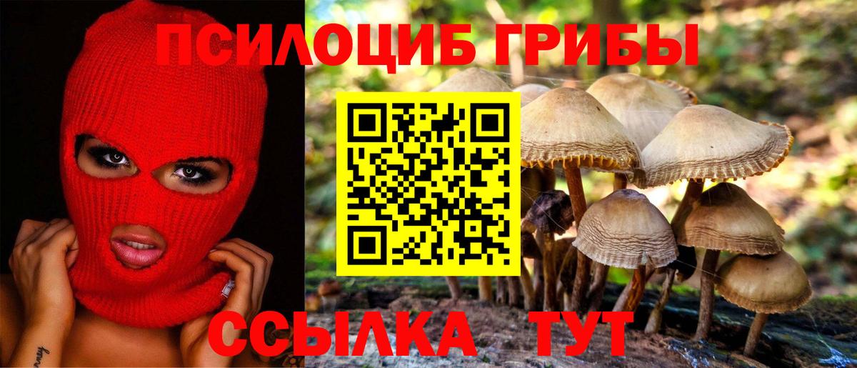 Псилоцибиновые грибы Psilocybine cubensis  Псилоцибиновые грибы Magic Shrooms  Вход с VPN  Вологда 