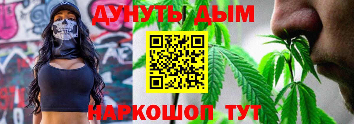 Вологда  Каннабис планчик  Канабис тримм  Вход с VPN 